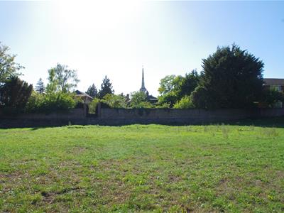 Picture 24
